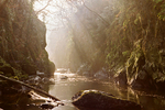 Fairy Glen winter horizontal