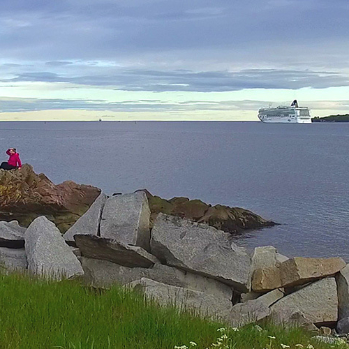 A cruise ship leaves Saint John Harbor as seen from Tin Can Beach.