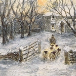 Winter Sunset