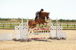 SBM_006665