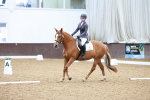 SBM_000972