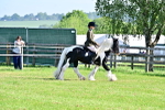 SBM_11597