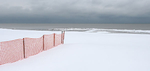 SAND FENCE, DECEMBER - LONG POINT BEACH