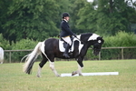 WJ6_6649