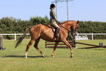 JPP_1831