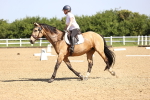SBM_007816
