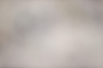 SBM_004221