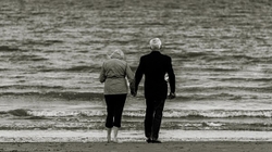 Scattered Black and Whites portfolio