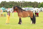 SBM_06320