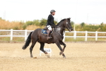 SBM_007151