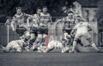 Guernsey Raiders v Esher-11