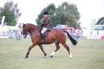 SBM_11082