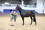 SBM_5761
