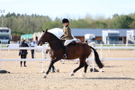 SBM_17587
