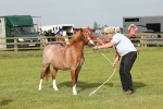 SBM_00449
