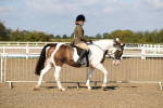SBM_03099