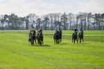 100426-Race 5-Myal-3382