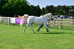 SBM_01073