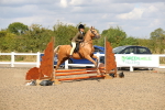 SBM_04203