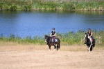 WJ6_8174
