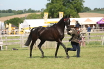 SBM_09110
