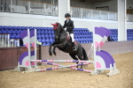 SBM_001446