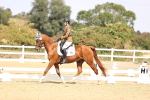 SBM_014970