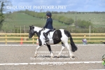 BPP_9164