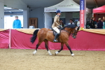 SBM_00737