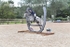 BPP_0261