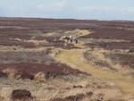 055 Striding out for Ana Cross