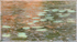 IMPRESSION, TIDAL POND - ACADIA NP, MAINE