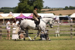 SBM_17705