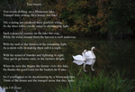 Two Swans Poem