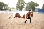 SBM_20127