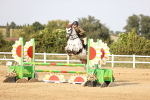 SBM_04032
