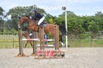 CLASS 7 Senior Foxhunter/ 1.20m Open portfolio