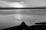 ANT_0406-2