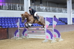 Class 4 - Senior Newcomer - 1.10m portfolio