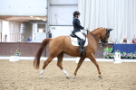 SBM_008043