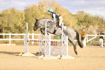 SBM_004091