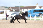 SBM_00332