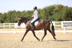 SBM_006661