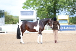SBM_00267