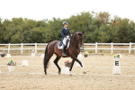 SBM_006883