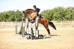 SBM_015147_Class 16 - Senior Foxhunter - 120m Open