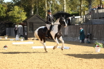 SBM_16593