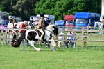 SBM_11684