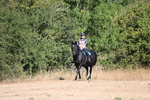 WJ6_7322