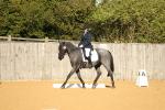 SBM_16490